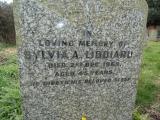 image of grave number 476835